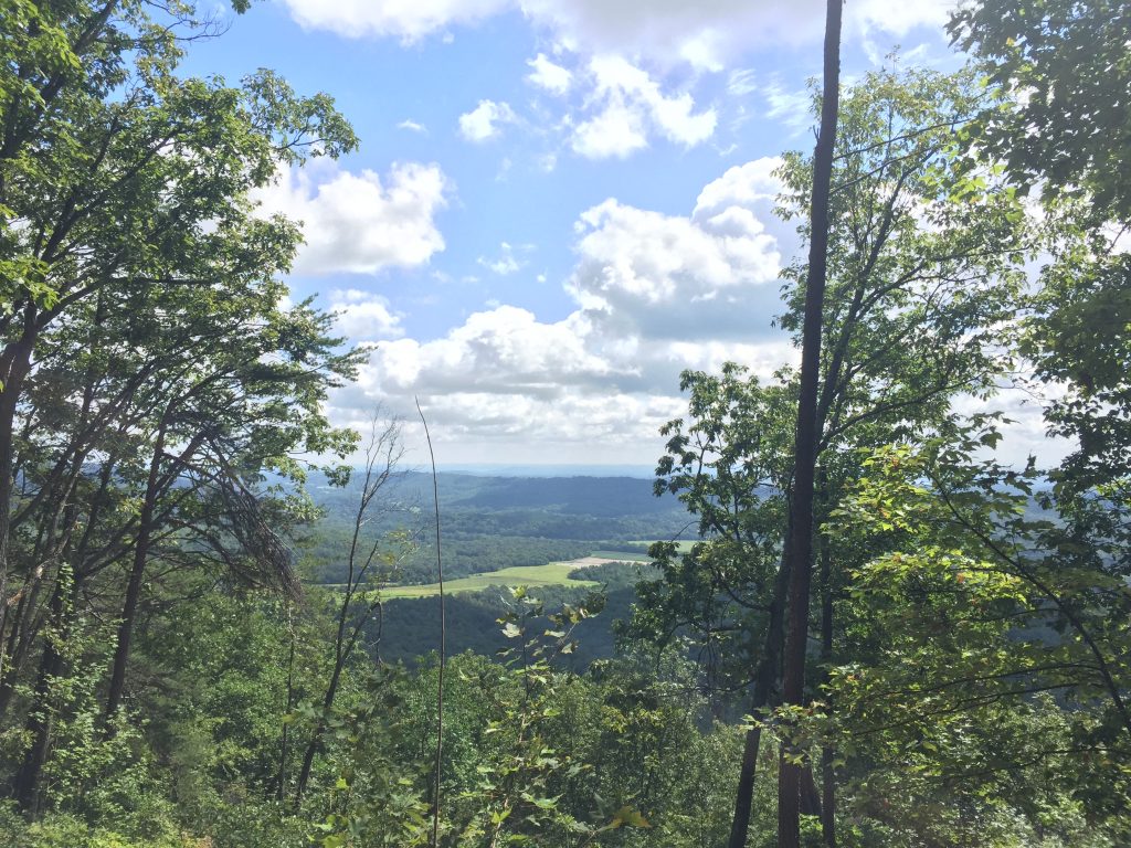 Bluff property view