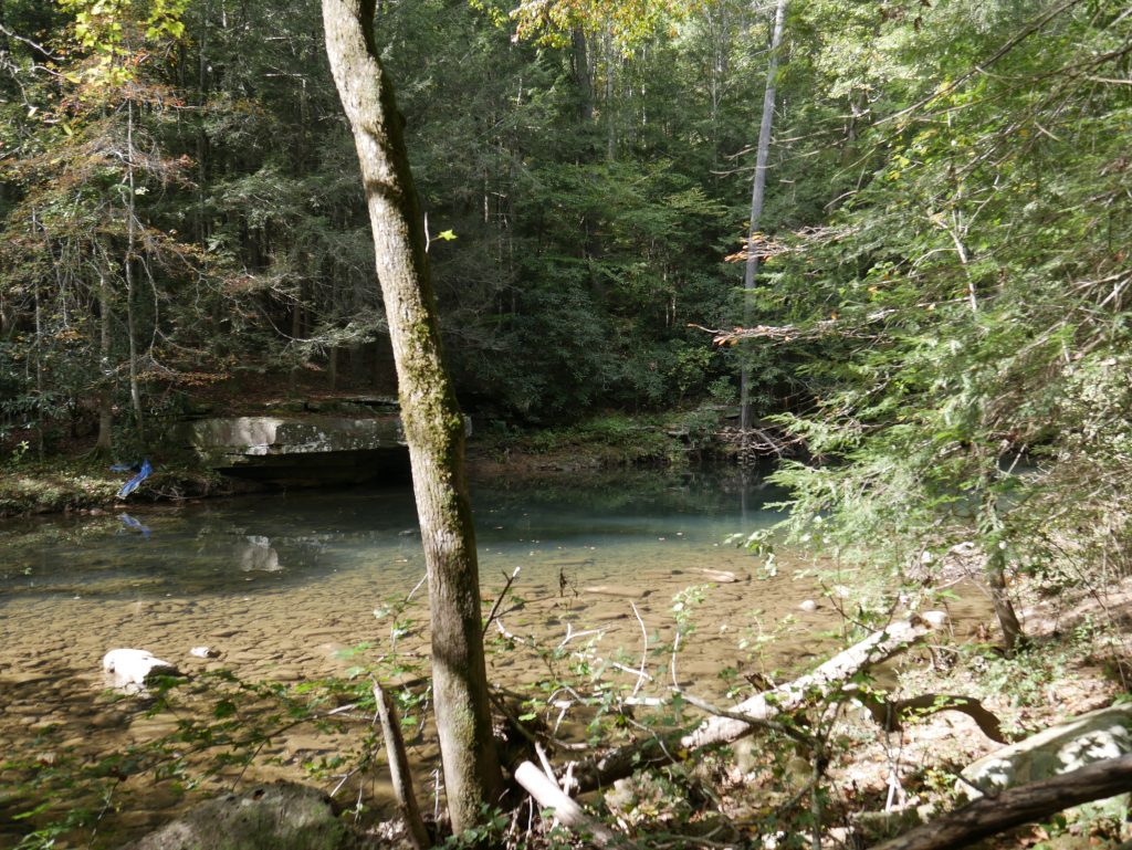 Creek in Tennessee