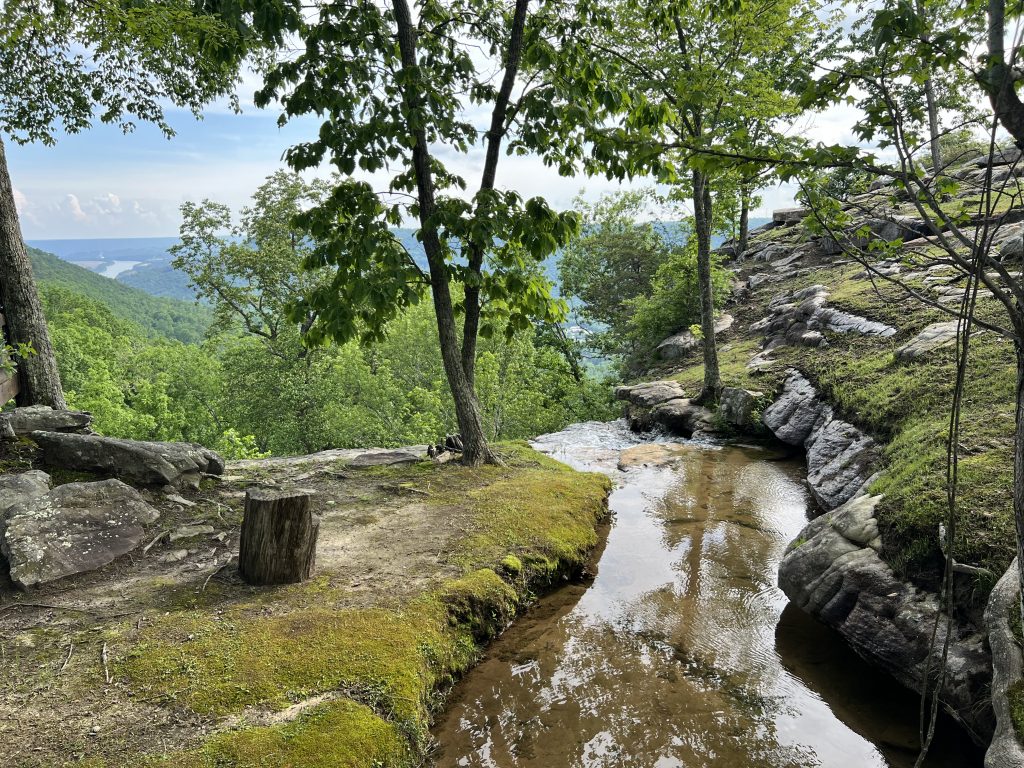 View from Jasper Highlands
